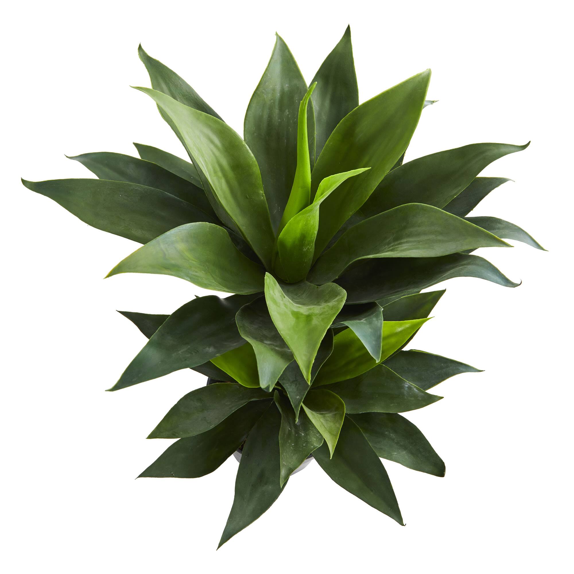 2.4ft. Potted Double Agave Succulent Artificial Plant